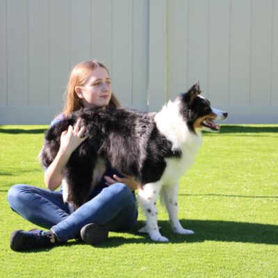 Dog Trainer With Border Collie Dog | Priority Boarding