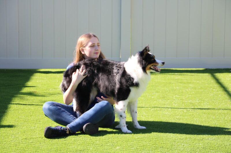 Dog Trainer With Border Collie Dog | Priority Boarding